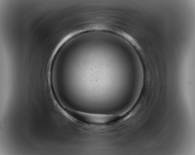 X0000085011334200703121513