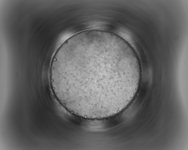 X0000085011338200703121513
