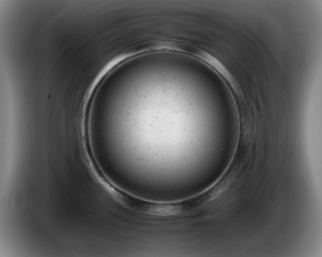 X0000085011339200703121513