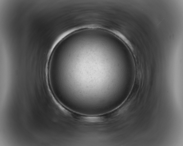 X0000085011343200703121513