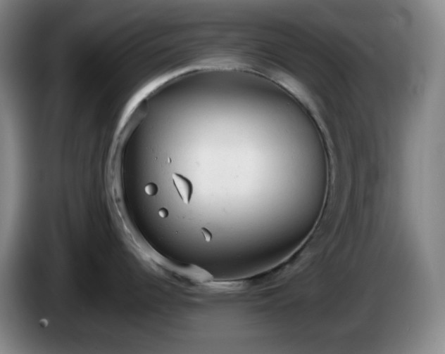 X0000085011344200703121513