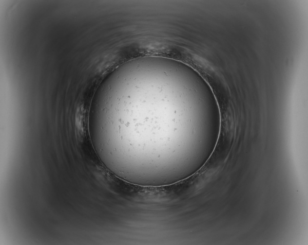 X0000085011346200703121513