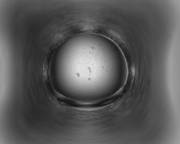 X0000085011348200703121513