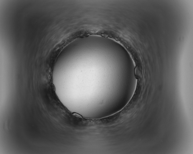 X0000085011349200703121513