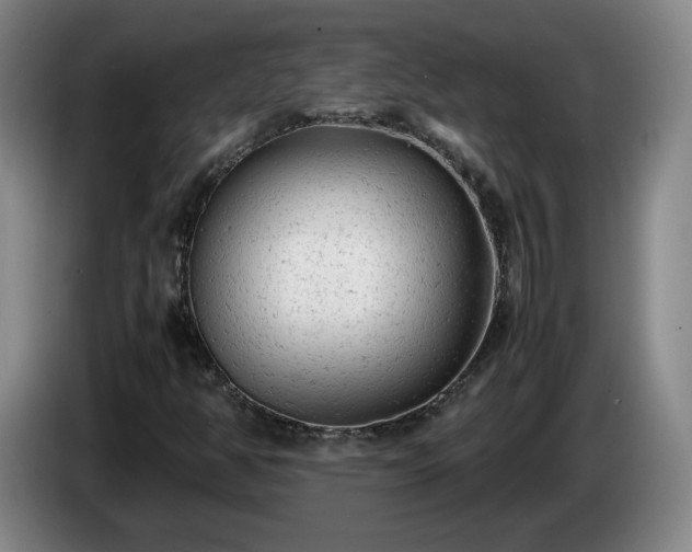 X0000085011350200703121513