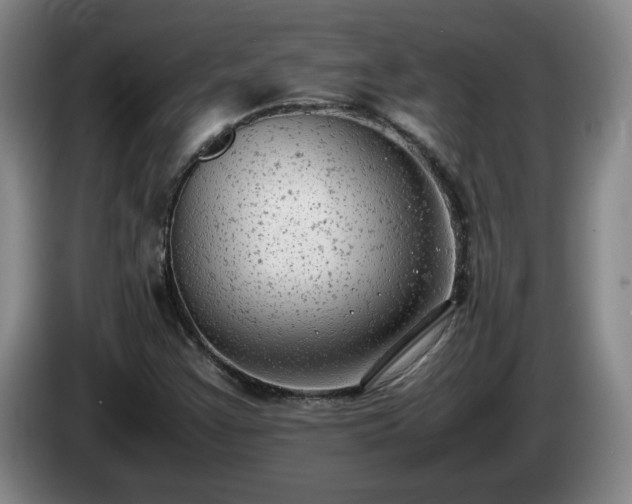 X0000085011355200703121513