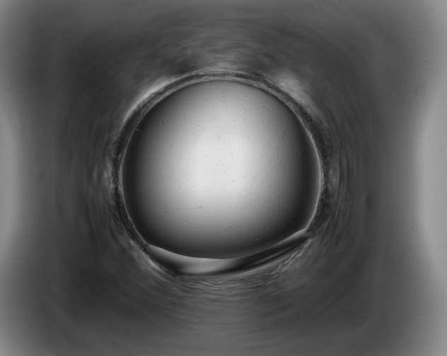 X0000085011356200703121513