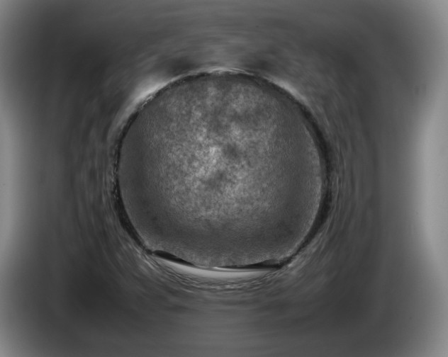 X0000085011359200703121513