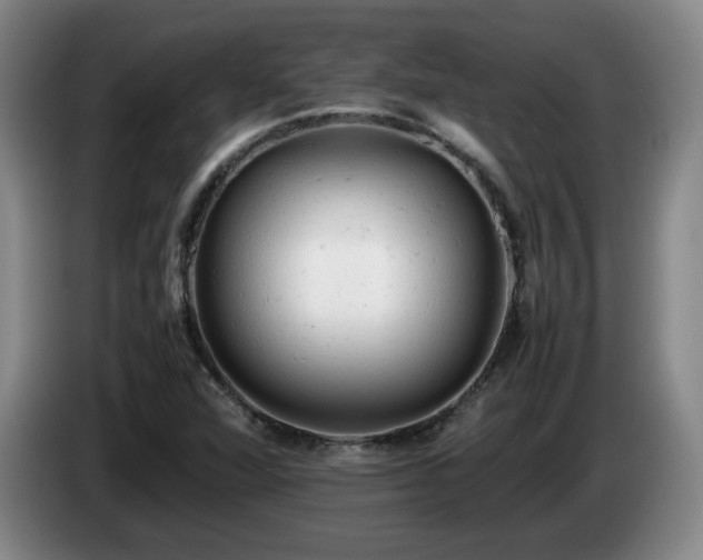 X0000085011360200703121513