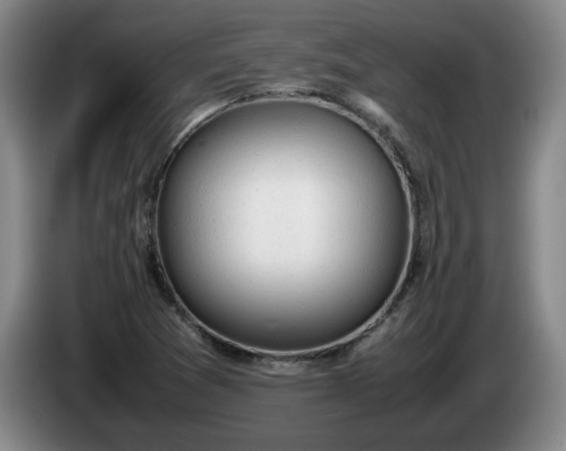 X0000085011361200703121513
