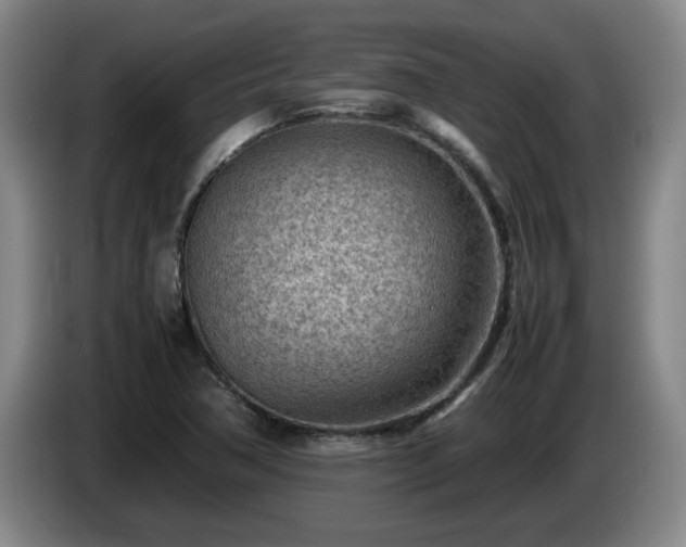X0000085011362200703121513