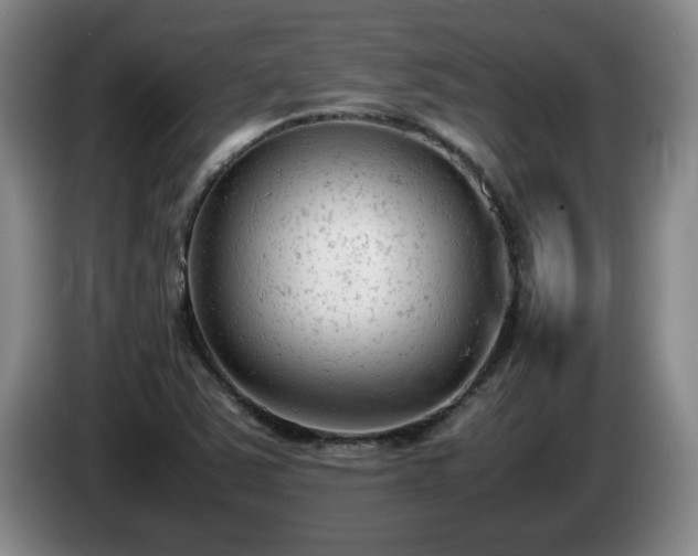 X0000085011363200703121513