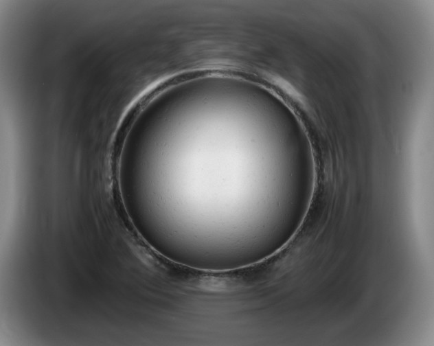 X0000085011364200703121513