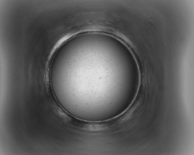 X0000085011366200703121513