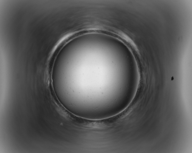X0000085011368200703121513