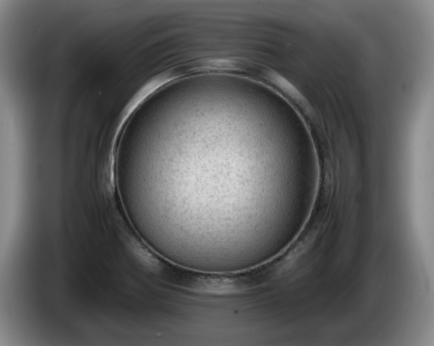 X0000085011370200703121512