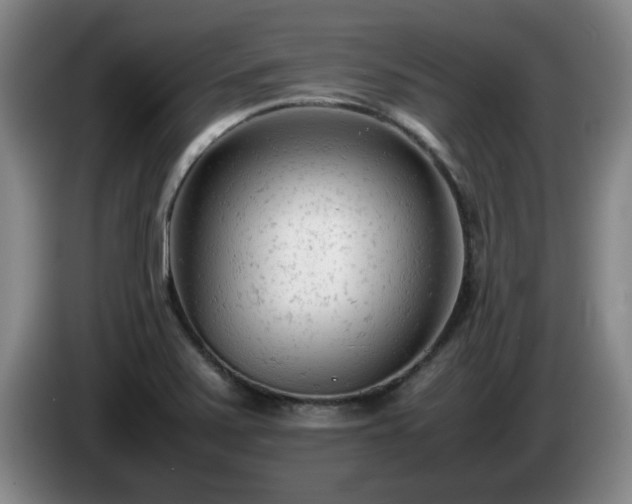 X0000085011371200703121512