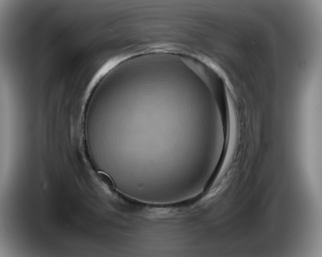 X0000085011373200703121512