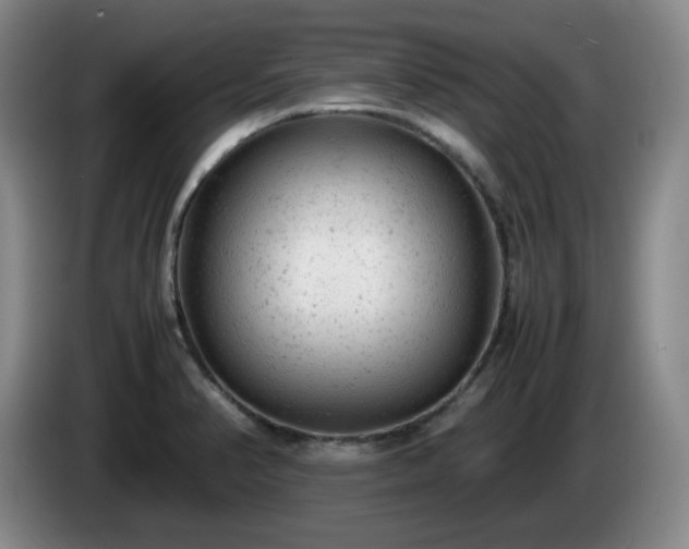 X0000085011374200703121512