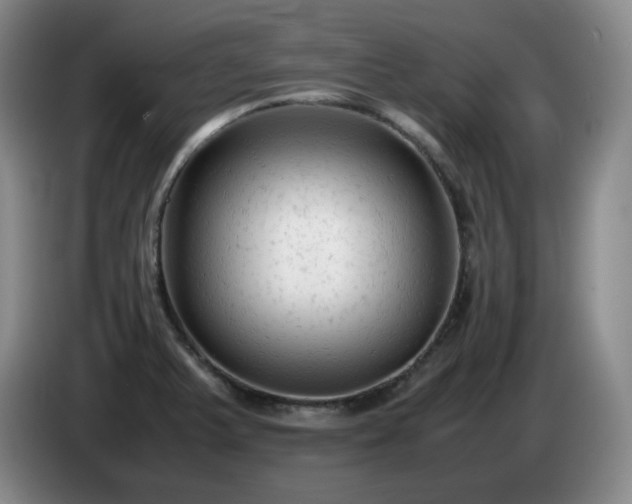 X0000085011375200703121512