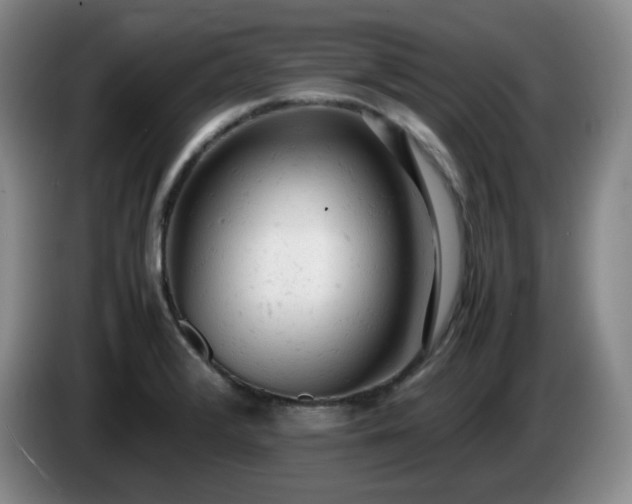 X0000085011376200703121512