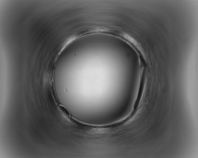 X0000085011377200703121512