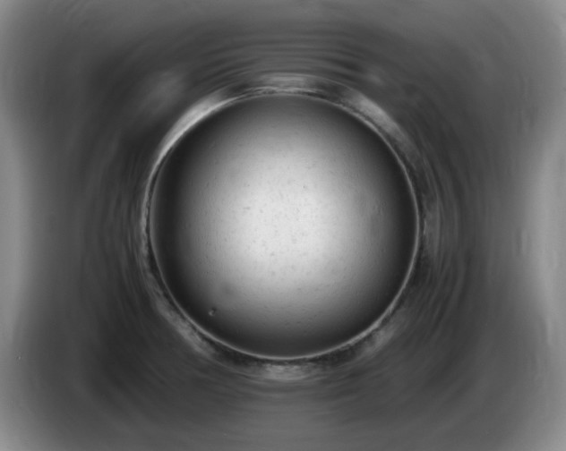 X0000085011378200703121512