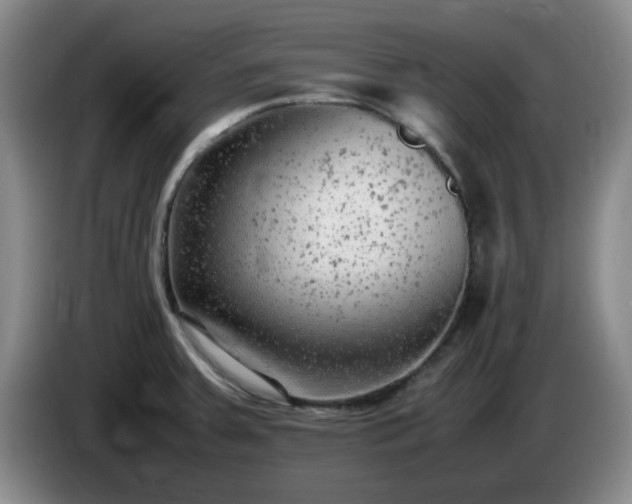 X0000085011379200703121512