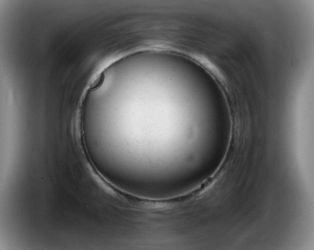 X0000085011382200703121512