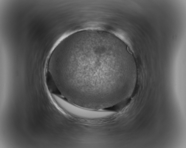 X0000085011383200703121512