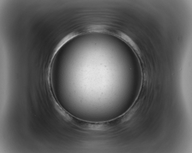 X0000085011386200703121512