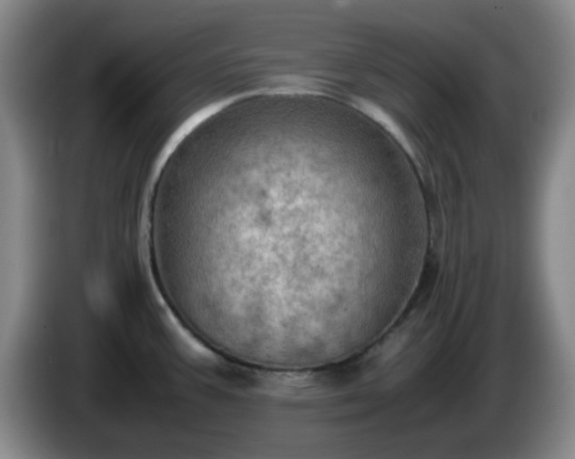 X0000085011387200703121512