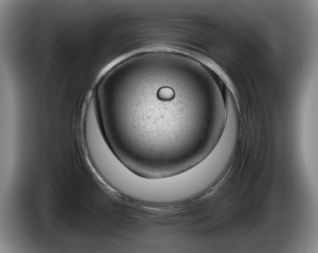 X0000085011388200703121512