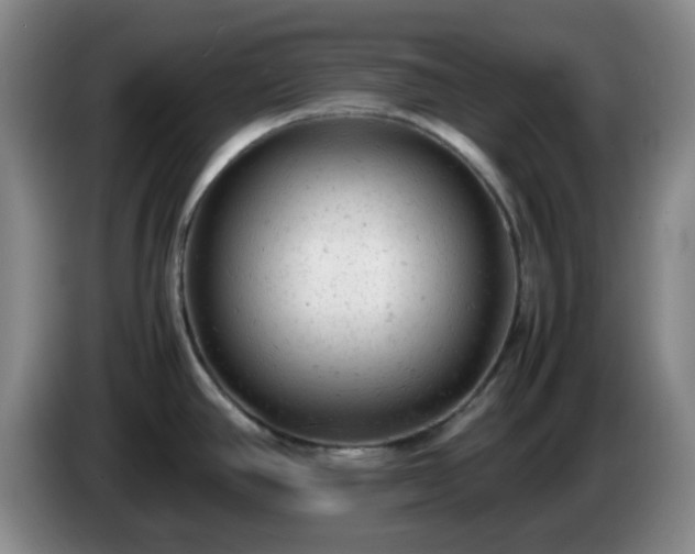 X0000085011390200703121512