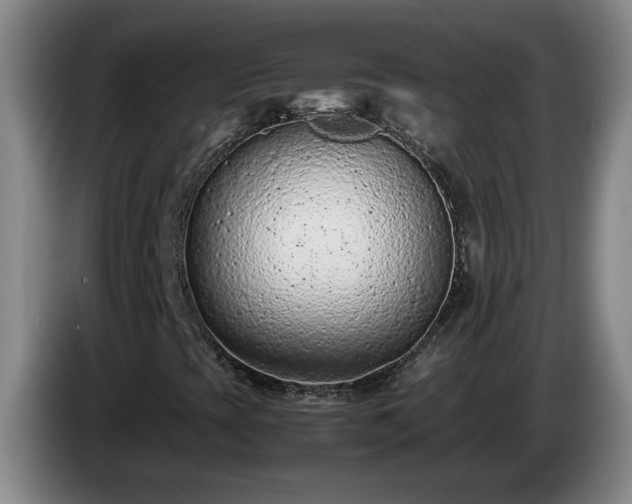 X0000085011393200703121512