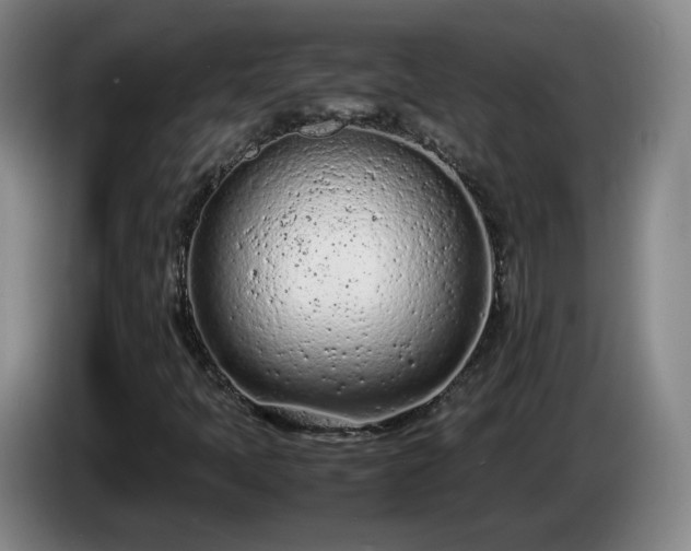 X0000085011397200703121512