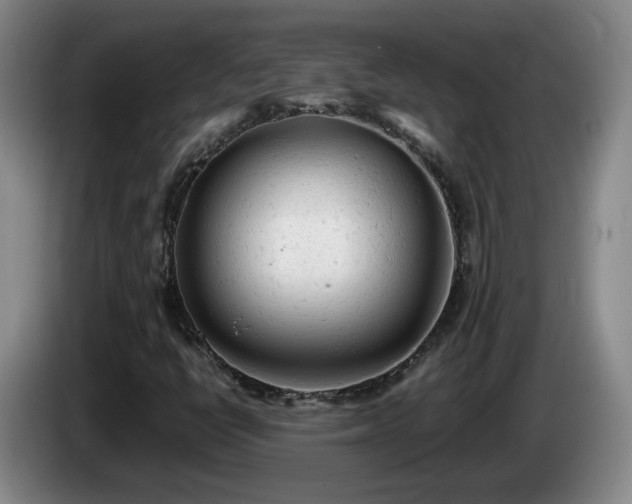 X0000085011398200703121512