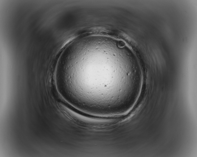 X0000085011401200703121512