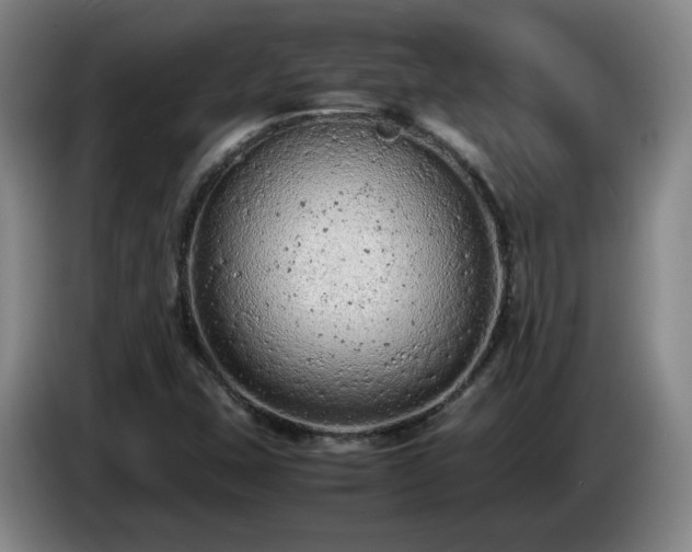 X0000085011407200703121512