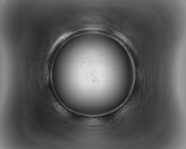 X0000085011408200703121512
