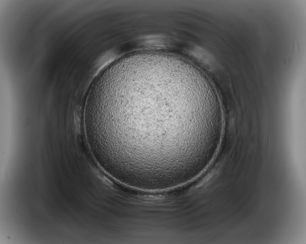 X0000085011409200703121512