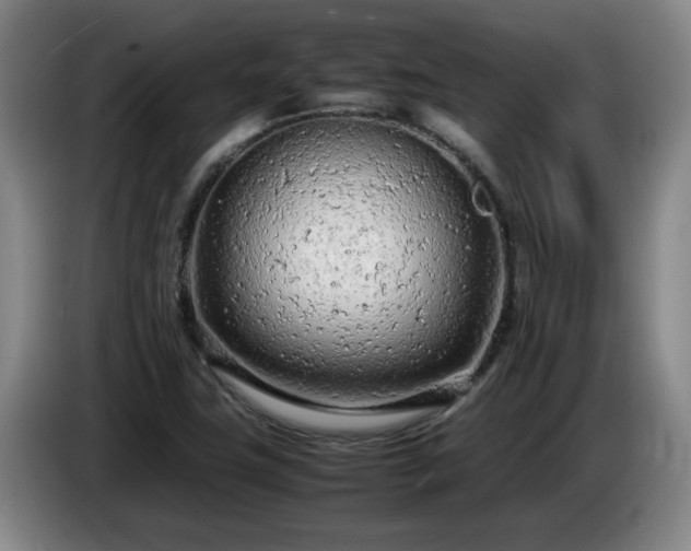 X0000085011411200703121512