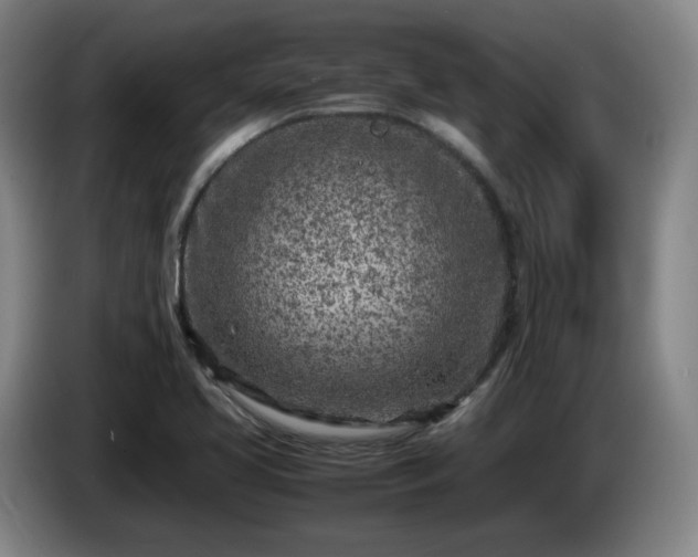 X0000085011413200703121512