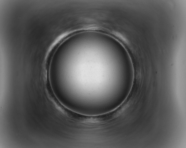 X0000085011414200703121512
