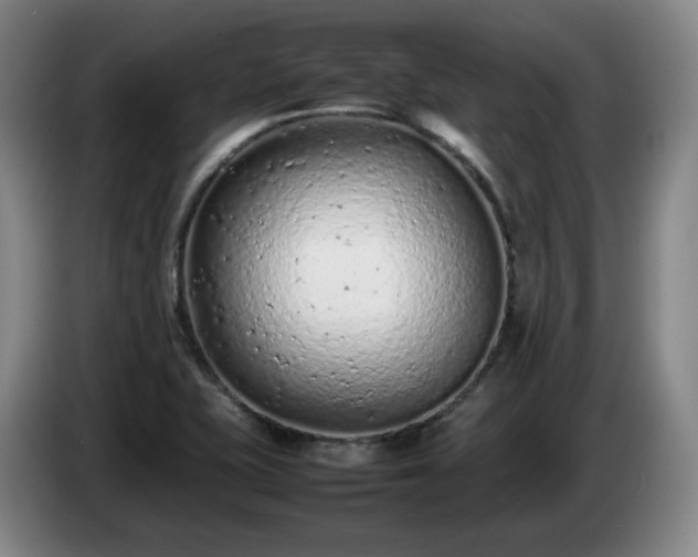 X0000085011415200703121512