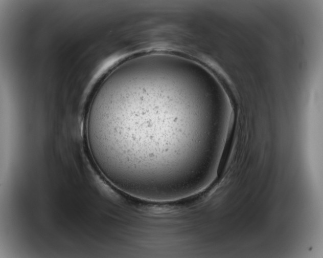 X0000085011416200703121512