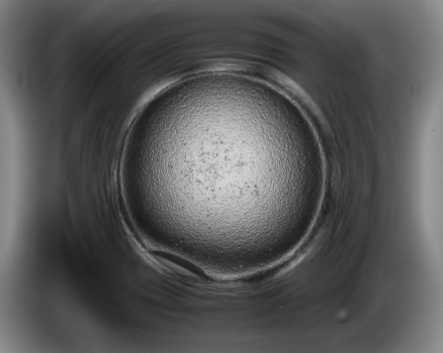 X0000085011417200703121512