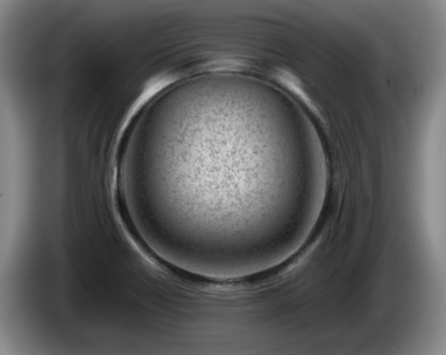 X0000085011418200703121512