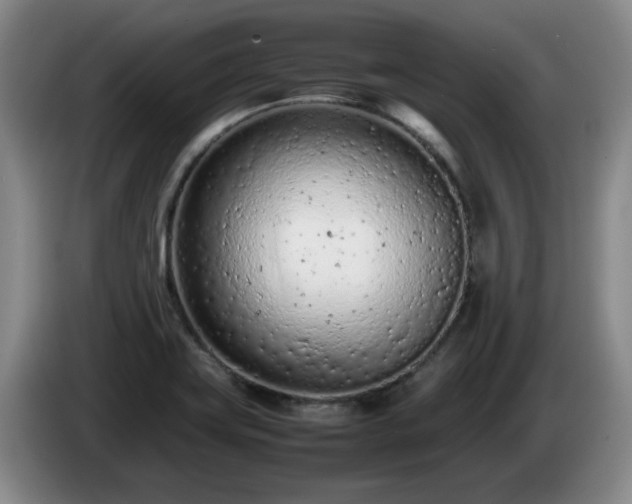 X0000085011419200703121512