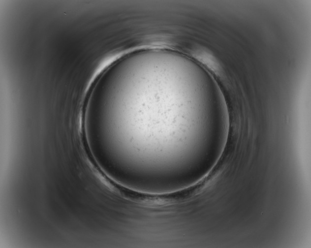 X0000085011420200703121512